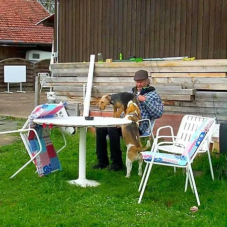 Wohlfuehloase Fuer Mensch Und Hund