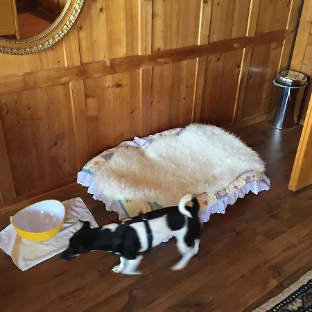 Wohlfuehloase Fuer Mensch Und Hund B&B *