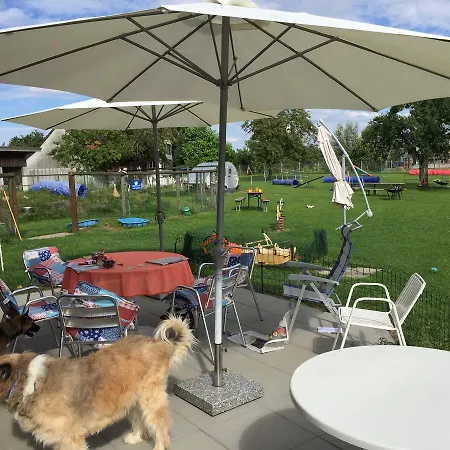 Wohlfuehloase Fuer Mensch Und Hund Uzwil