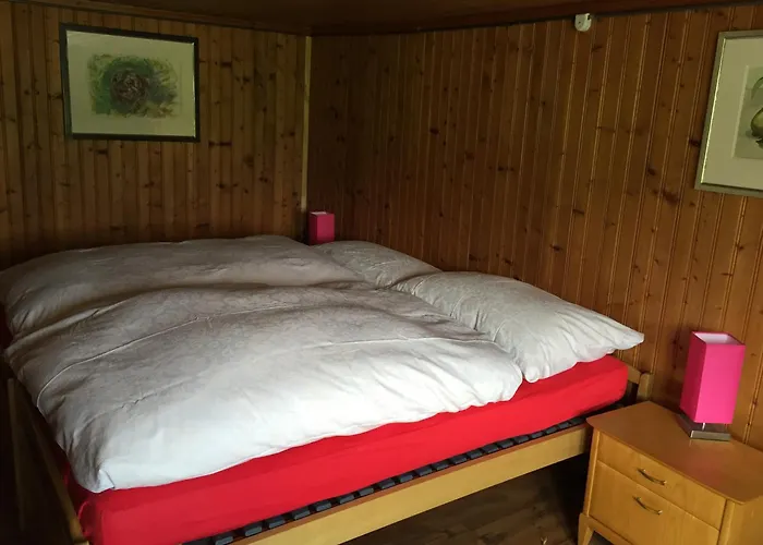 Wohlfuehloase Fuer Mensch Und Hund