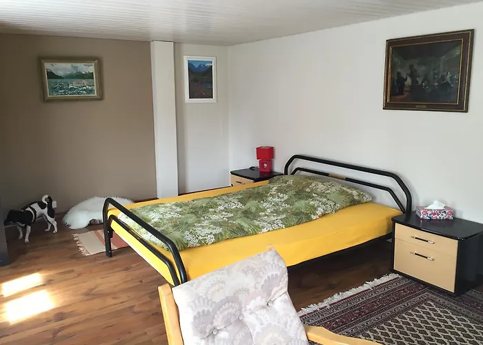 Wohlfuehloase Fuer Mensch Und Hund *