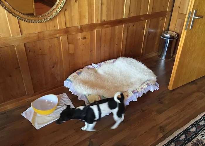 Wohlfuehloase Fuer Mensch Und Hund فندق مبيت وإفطار *