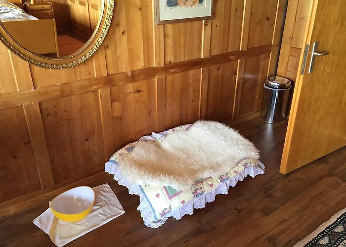 Wohlfuehloase Fuer Mensch Und Hund *