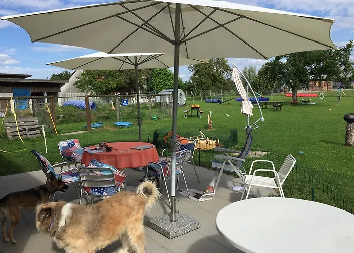 Wohlfuehloase Fuer Mensch Und Hund Uzwil